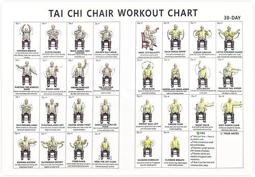 Tai chi chair workout - chair, chart